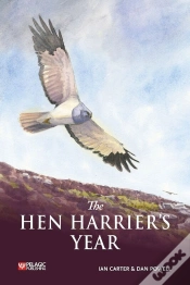 Capa do artigo Hen Harrier