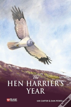 Capa do artigo Hen Harrier'S Year