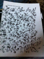 Henri Michaux - Preview
