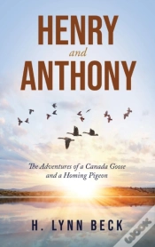 Capa do artigo Henry & Anthony