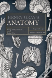 Capa do artigo Henry Gray