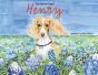 Henry - Preview