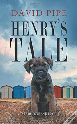 Capa do artigo Henry'S Tale
