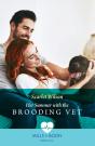 Her Summer With The Brooding Vet - Preview