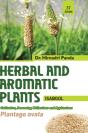 Herbal And Aromatic Plants - 37. Plantago Ovata (Isabgol) - Preview