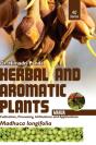 Herbal And Aromatic Plants - 40. Madhuca Longifolia (Mahua) - Preview