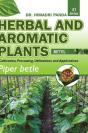 Herbal And Aromatic Plants - 41. Piper Betle (Betel) - Preview
