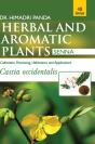 Herbal And Aromatic Plants - 48. Cassia Occidentalis (Senna) - Preview