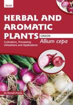 Herbal And Aromatic Plants - Allium Cepa (Onion)