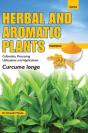 Herbal And Aromatic Plants - Curcuma Longa (Turmeric) - Preview