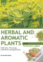 Herbal And Aromatic Plants - Foeniculum Vulgare (Saunf)