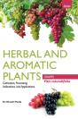 Herbal And Aromatic Plants - Vitis Rotundifolia (Grapes) - Preview