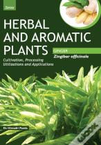 Herbal And Aromatic Plants - Zingiber Officinale (Ginger)