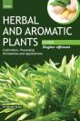 Herbal And Aromatic Plants - Zingiber Officinale (Ginger) - Preview