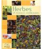 Herbes Et Essence Médicinale - Preview