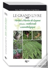 Herbes Et Plantes De Guyane