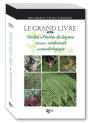 Herbes Et Plantes De Guyane - Preview