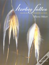 Herbes Folles ; Beaute Des Graminees Sauvages