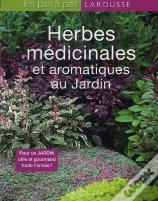 Herbes Médicinales Et Aromatiques Du Jardin