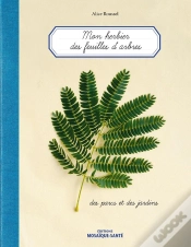 Capa do artigo Herbier Des Feuilles D
