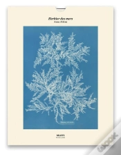 Capa do artigo Herbier Des Mers