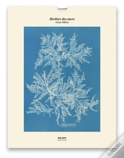 Capa do artigo Herbier Des Mers