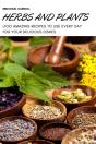 Herbs And Plants - Preview