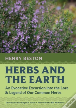 Capa do artigo Herbs And The Earth