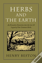 Capa do artigo Herbs And The Earth