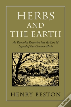 Capa do artigo Herbs And The Earth