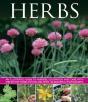 Herbs - Preview