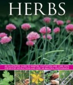 Capa do artigo Herbs