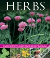 Capa do artigo Herbs