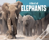 Herd Of Elephants A