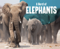 Herd Of Elephants A - Preview