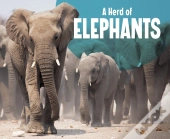 Herd Of Elephants A