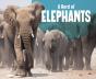 Herd Of Elephants A - Preview