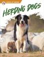 Herding Dogs - Preview