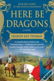 Capa do artigo Here Be Dragons