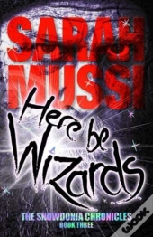 Here Be Wizards