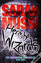 Capa do artigo Here Be Wizards