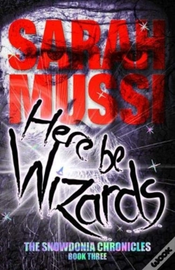 Capa do artigo Here Be Wizards