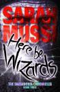 Here Be Wizards - Preview