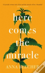 Capa do artigo Here Comes The Miracle