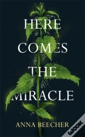 Here Comes The Miracle