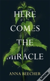 Capa do artigo Here Comes The Miracle