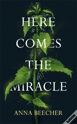 Capa do artigo Here Comes The Miracle