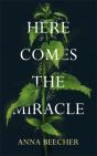 Here Comes The Miracle - Preview