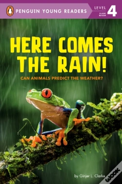 Capa do artigo Here Comes The Rain!