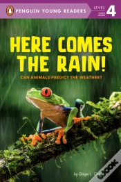 Capa do artigo Here Comes The Rain!